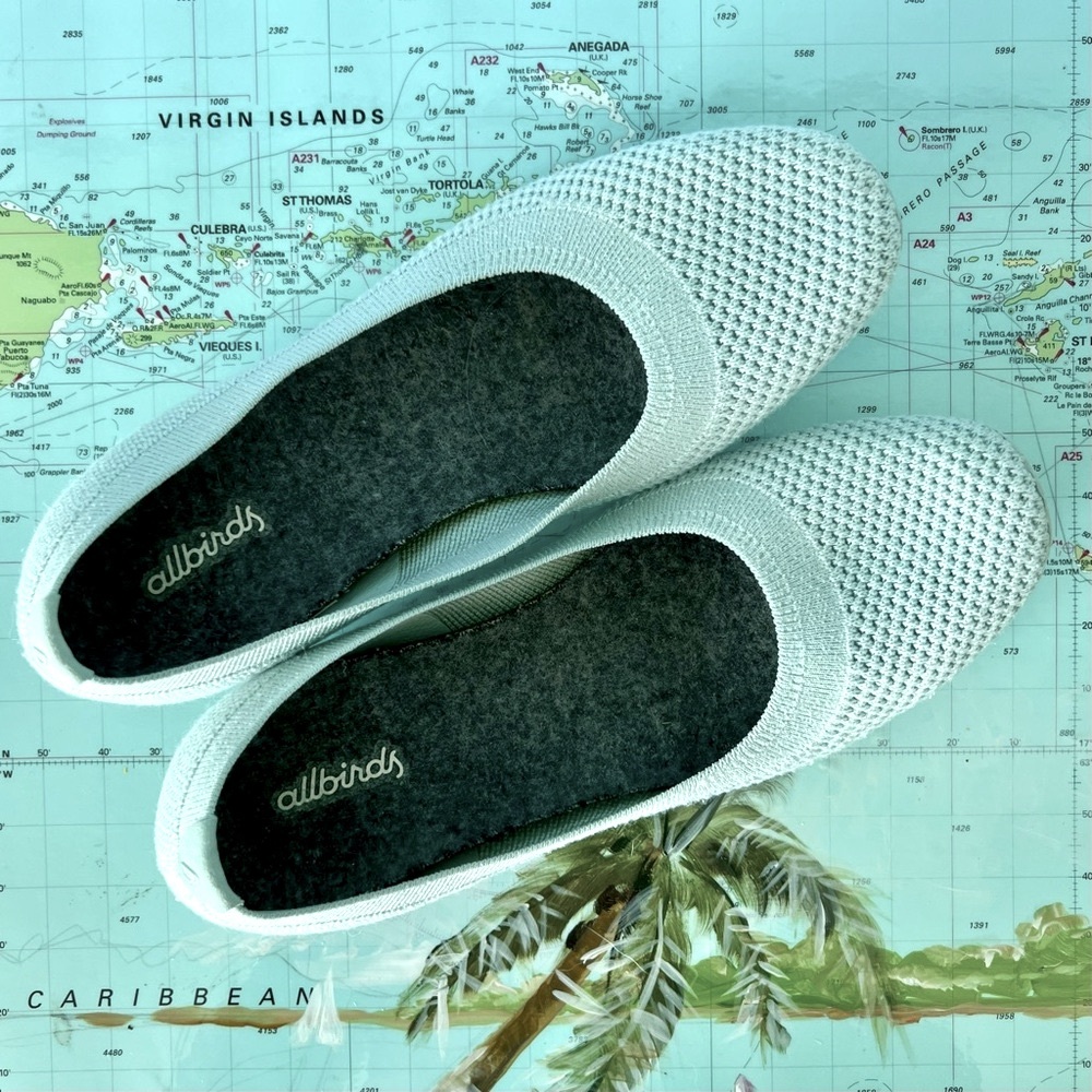 Allbirds Tree Breezers Ballet Flats Frost Sz 7.5